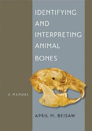 Buy Identifying and Interpreting Animal Bones: A Manual Book Online at ...