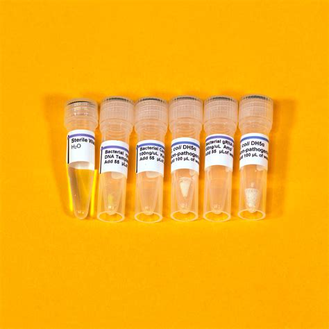 CRISPR Kit for Humans 的图像结果