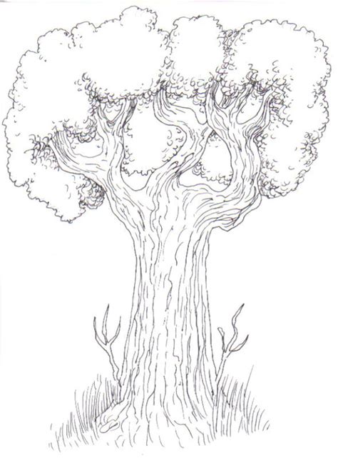 Image result for Tree Texture Drawing Simple