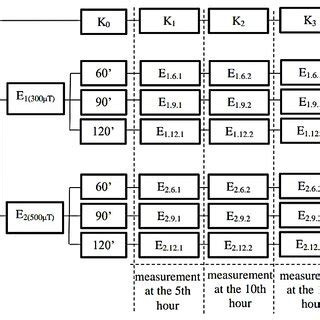 Procedure Chart Design 的图像结果