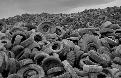 Waste Gude 的图像结果