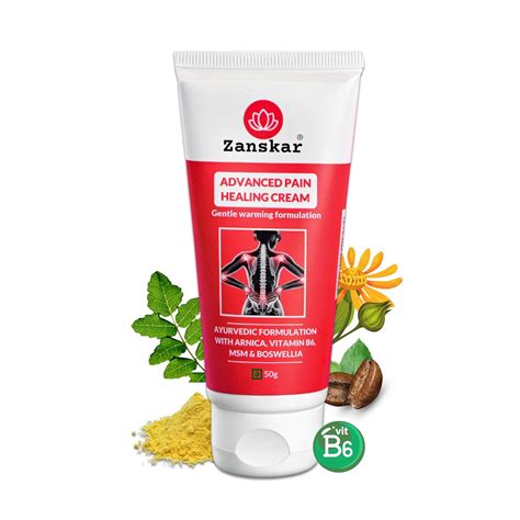 Zanskar Advanced Pain Healing Cream | Deep Relief from Back Pain, Knee ...