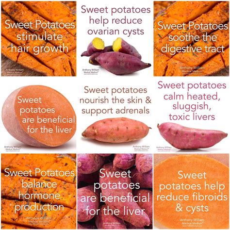 How to increase red blood cell count 12 steps with pictures – Artofit