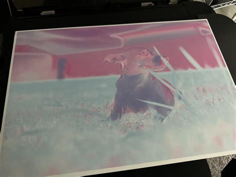 Image result for Canon Pro 10 Tutorial