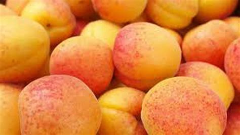 Himachali Chulli Oil