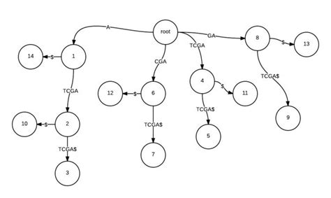 Repeated Substring Pattern 的图像结果