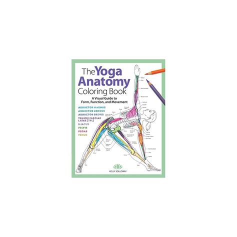 Yoga Anatomy Coloring Book: A Visual Guide to Form, India | Ubuy