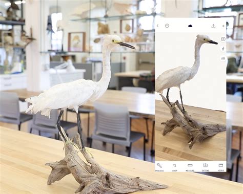 Parallel Conservatory, 2023 - Pratt Institute