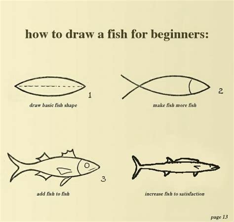 Image result for How to Basic Fish