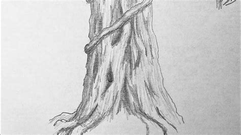 Image result for Tree Bark Simple Drawing