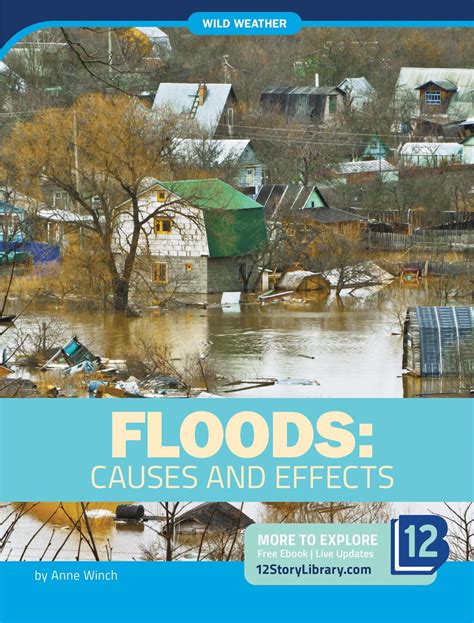 Floods: Causes and Effects (Wild Weather) : Winch, Anne: Amazon.in: Books
