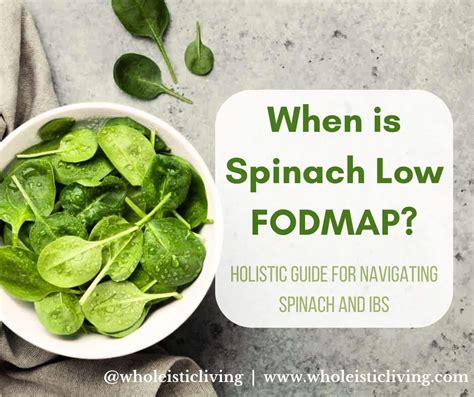 When is Spinach Low FODMAP? (Holistic Guide to Navigating Spinach and ...