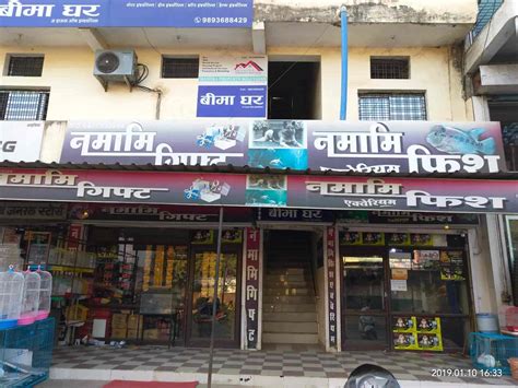 Namami Aquarium And Pet Shop in Mandla Road,Mandla - Best Aquarium ...