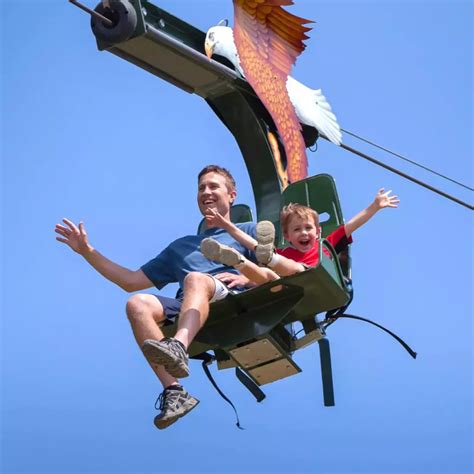 Image result for Alpine Slide