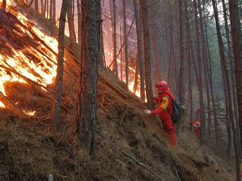 雅江县“3.12”森林火灾得到有效控制 起火原因查明-北纬网（雅安新闻网）