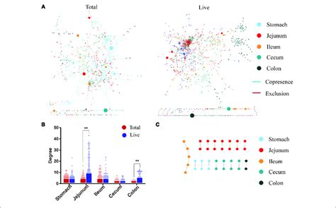 Co-Occurrence Network Python 的图像结果