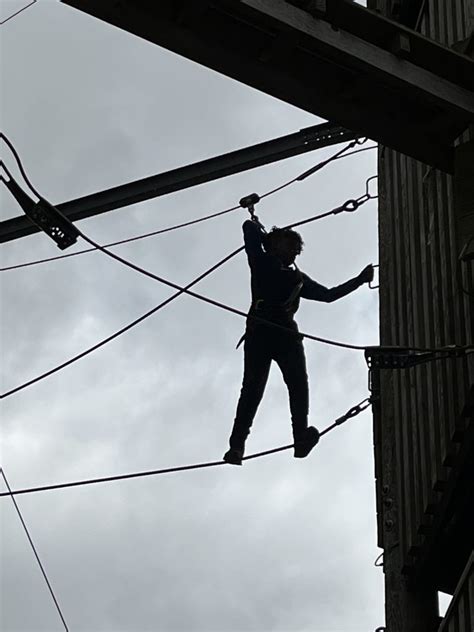 Image result for Amadeus Compass School Program Instruments