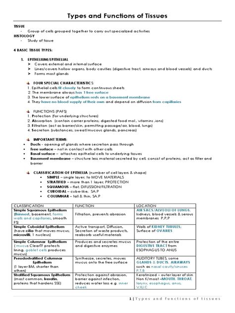 Image result for Classification of Tissues