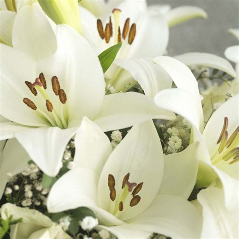 Rezultat imagine pentru Common Furnace Problems