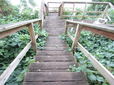Interlochen Duck Lake Campground in Interlochen State Park, Michigan ...