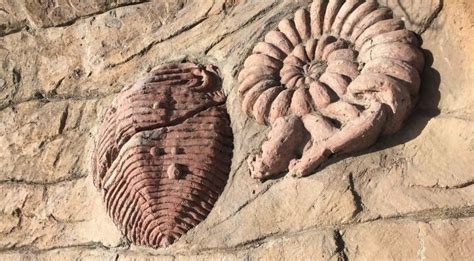 99% Of Life Died A Billion Years Before Dinosaurs, Due To A Previously ...