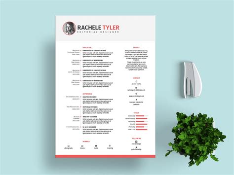 Image result for Template Resume Simple InDesign