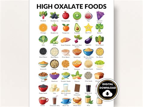 High Oxalate Foods Poster, List of Foods High in Oxalate, Printable PDF, Oxalate Diet Food Chart ...