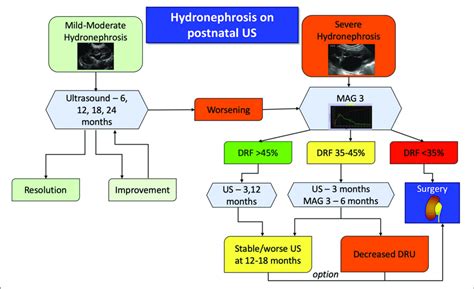 Image result for Nephrohydrosis Algorithm