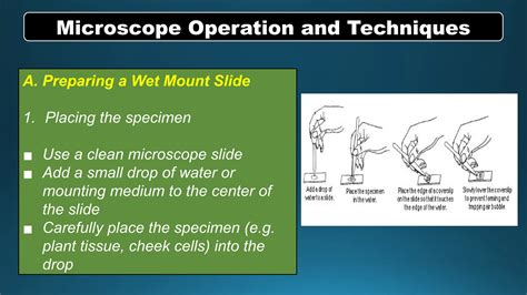 Q2-SCIENCE 7-LC1 .pptx