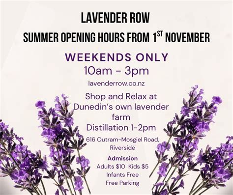 Lavender Row Summer Season, Lavender Row Farm, 616 Outram-Mosgiel Road ...