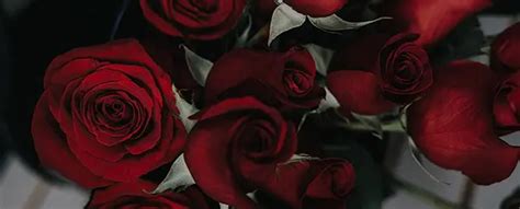 Prestige Funeral Home | Dillon, SC