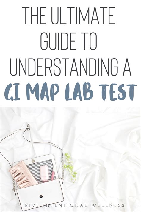 GI Map Testing 的图像结果