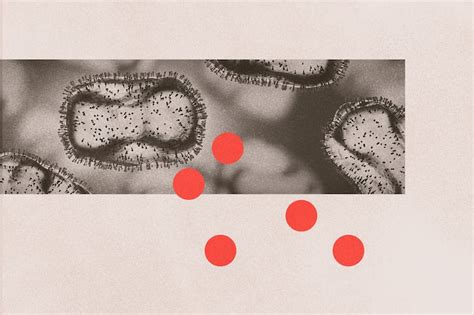 Monkeypox: New York, San Francisco declare health emergencies – Deseret ...