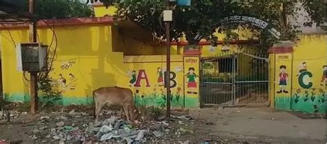 Praveshotsav : A heap of garbage outside the school, children will ...