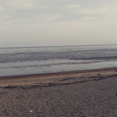 Odisha Travel: ओडिशा के इस खूबसूरत समुद्री तट के आगे गोवा भी लगता है ...