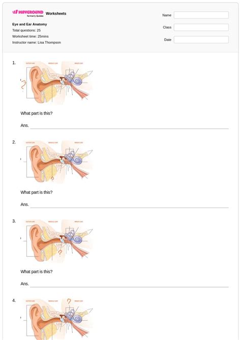 50+ Eye Anatomy worksheets for Class 10 on Wayground | Free & Printable