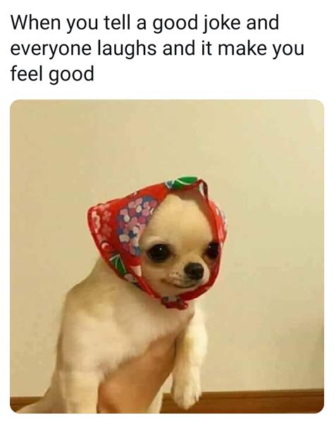 That really does feel good | /r/wholesomememes | Wholesome Memes | Know ...