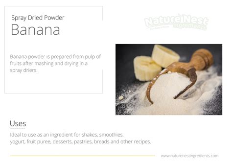 Spray Dried Fruit Powders | Nature Nest Ingredients