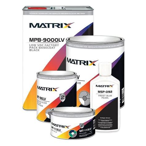 Image result for Matrix Auto Paint How To