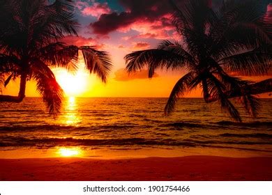 Image result for Sunset Climb O2
