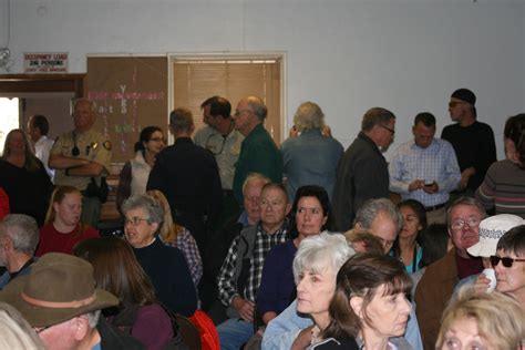 Town Hall GSOB meeting; two more infected trees in Idyllwild ...