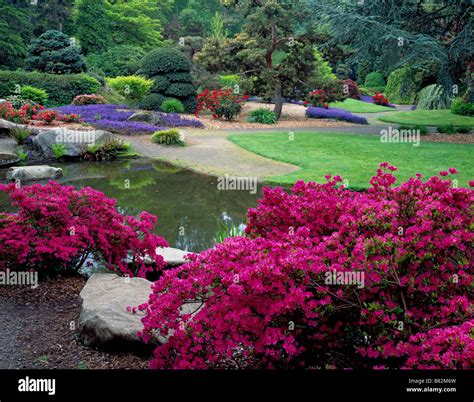Kubota garden seattle hi-res stock photography and images - Alamy