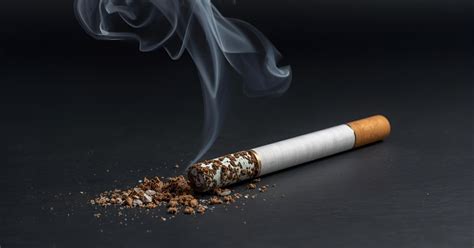 Guide to Types of Cigarettes in India: Popular Choices and Features ...