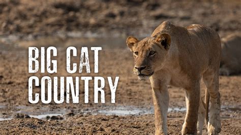 Latest Animal Shows List Online, New Animal Web Series 2026