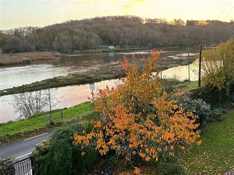 RIVERBANK HOUSE BED AND BREAKFAST INNISHANNON - B&B Reviews, Photos ...