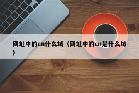 网址中的cn什么域（网址中的cn是什么域） - 恩派SEO