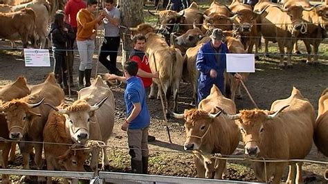 Porrúa dedica a Sergio Balmori Rozada la muestra y feria ganadera del ...