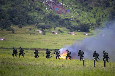 RDF Training Exercise 的图像结果