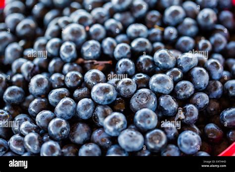 Local Farmers 的图像结果