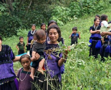 Producción orgánica - Union Majomut